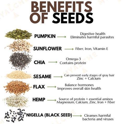 🌱 Power Up with Seeds! 🌱 Seeds are tiny but mighty powerhouses of nutrition, making them an excellent addition to your daily eating routine. Here’s why you should consider adding them to your meals: 🥜 Brazil Nuts: These nutrient rich nuts are packed with calcium, supporting strong bones and teeth. Plus, they’re a fantastic source of selenium, promoting overall health. ✨ Chia Seeds: Known for their high fiber content, chia seeds are great for digestion and keeping you feeling full. They’re ... Flax Seed Face Mask, Chia Seeds Benefits Side Effects, Flax Vs Chia Seeds, High Fiber Nuts And Seeds, Benefits Of Eating Chia Seeds, Nuts And Seeds Nutrition Chart, Eating Routine, Face Mask Diy, Homemade Nut Milk