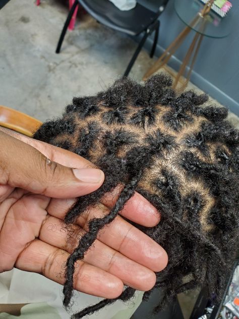 This example shows you the difference between twisting and interlocking!! Pictures Of Dreadlocks, Medium Interlocked Locs, Interlocking Locs Starter, Starter Locs Styles Men, Small Starter Locs, Comb Coil Starter Locs, Starter Locs Men, How To Start Dreadlocks, Starter Locs Styles