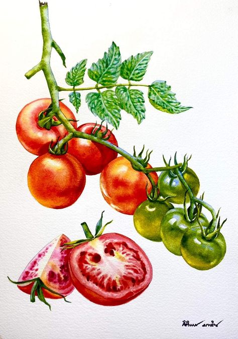 Tomatoes Painting, Watercolor Tomatoes, Contemporary Botanical Art, Vegetable Painting, Food Art Painting, Oil Painting Inspiration, Flower Drawings, Cherry Baby, Painting Subjects