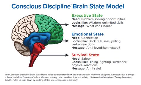 Brain States, Parent Handbook, School Report Card, After School Care, Conscious Discipline, Kindergarten Prep, Family Help, School Supplies List, Family Learning