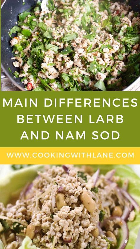 Larb and Nam Sod are both authentic Southeast Asian dishes. They are usually eaten with sticky rice and lettuce leaves. Both Lao and Thai cuisines include Larb and Nam Sod. However, they are quite different from each other in terms of ingredients and preparation methods. Read on to find out more. #larb #Southeastasianfood #AsianFood Nam Sod Recipe, Authentic Thai Peanut Sauce Recipe, Thai Side Dishes, Thai Sweet Chili Sauce Recipe, Eggplant Side Dishes, Curry Side Dishes, Larb Recipe, Vegetarian Thai Recipes, Sweet Chili Sauce Recipe