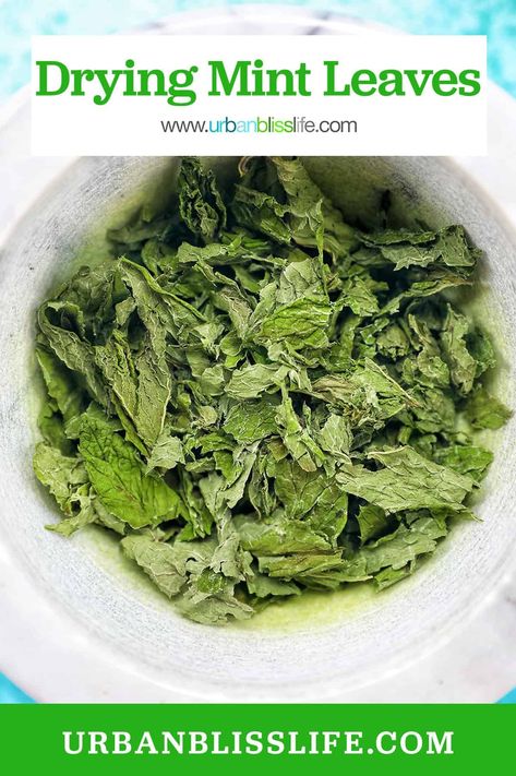 Have an abundance of mint leaves in your garden? This easy method for drying mint leaves helps you make the most of summer herbs to enjoy all year long. Recipe at UrbanBlissLife.com. Summer Herbs, Drying Mint Leaves, Mint Kitchen, Mint Plants, Wine Food Pairing, Recipe 30, Dairy Free Dessert, Main Course Recipes, Aromatic Herbs