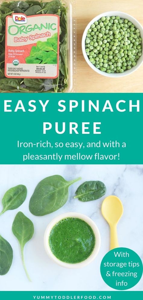 Transform simple ingredients into iron-rich baby food with just a few minutes of cooking and zero special kitchen tools! #babyfood #babyfoodideas #homemadebabyfood #spinachpuree #spinachbabyfood Iron Rich Puree For Baby, Iron Rich Baby Food Purees, Iron Rich Baby Food Recipes, Spinach Puree Baby Food, Spinach Baby Food Recipes, How To Store Spinach, Spinach Baby Food, Iron Rich Baby Food, Baby Spinach Recipes