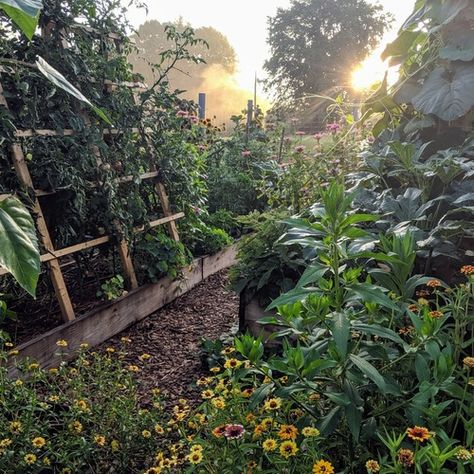 Garden In The Mountains, Appalachian Garden, Permaculture Flower Garden, Forrest Food Garden, Medicinal Cottage Garden, Hillside Permaculture, Cottage Allotment, Food Forest Garden Permaculture Design, Mountain Garden