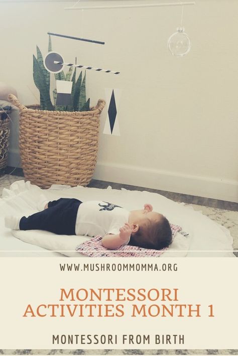 Montessori is not just a form of education, but a lifestyle. Montessori can be implemented into your baby’s life as soon as they enter this world, and can continue throughout their life. Here is a quick guide on how to implement Montessori into your home in your infant’s first month of life. Montessori Newborn, Newborn Sensory, Montessori Baby Activities, Newborn Activities, Montessori Nursery, 1 Month Baby, One Month Baby, Baby Sensory Play, Montessori Educational Toys