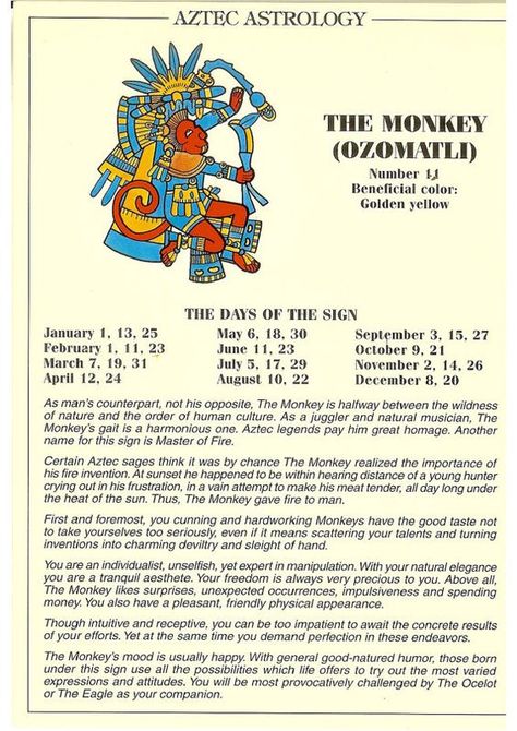 Aztec Astrology - The Monkey Aztec Astrology, African Astrology, Egyptian Astrology, Mayan Astrology, Aztec Temple, Aztec Symbols, Indian Astrology, Aztec Culture, Aztec Tattoo