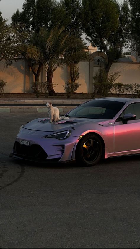 Brz Aesthetic, Cats And Cars, Burmilla, Car Cat, Toyota Gt86, Cars Characters, Lux Cars, Car Goals, Street Racing Cars