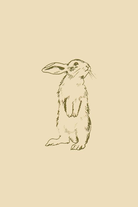 Bunny Drawings Aesthetic, Simple Rabbit Illustration, Bunny Illustration Vintage, Bunny Poster Aesthetic, Rabbit Drawing Aesthetic, Bunny Sketch Tattoo, Bunny Rabbit Illustration, Vintage Bunny Tattoo, Rabbit Heart Tattoo