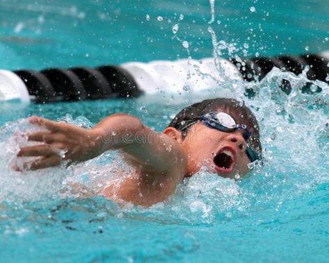 A young boy competes in freestyle swimming. A multi ethnic boy competes in frees , #AFF, #competes, #freestyle, #young, #boy, #swimming #ad Boys Swimming Aesthetic, Freestyle Swimming, Swimming Classes, Swim Team, Boys Swim, 2025 Vision, Man Swimming, Outdoor Pool, Phonics