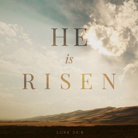 "Ele não está aqui, mas ressuscitou." Lc 24:6 He Is Risen Indeed, Son Of Man, Who Is Jesus, Jesus Is Alive, He Has Risen, Daily Bible Reading, Daily Bible Study, The Son Of Man, He Is Risen