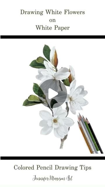 Jennifer Morrison on Instagram: "Here is a quick 1-minute Tip Vdeo to show you how I like to draw white flowers on white paper. Happy to answer questions in the comments:) . #coloredpencils #colouredpencils #arttutorial #drawingtutorial #prismacolor #polychromos #luminance #derwentpencils #holbein #blickartmaterials #coloredpencil_art #botanicalcoloredpencil #realism #legionpaper" Derwent Pencils, Jennifer Morrison, Colored Pencil Drawing, Coloured Pencils, Color Pencil Art, Drawing Videos, Colored Pencil, Drawing Tips, Pencil Art