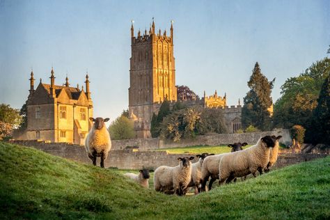 Georg Friedrich Händel, Arlington Row, Cotswold Way, Hadrian's Wall, Cotswold Villages, Cotswolds England, Day Trips From London, York Minster, Perfect Road Trip