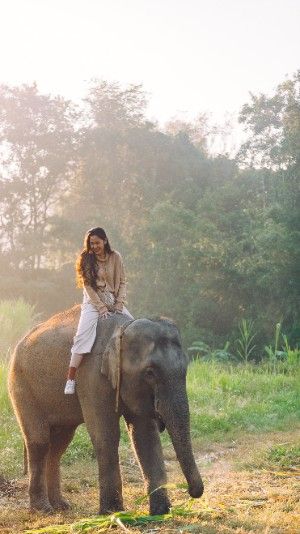 Safest Places To Travel, Life In Paradise, Thailand Elephants, Elephant Ride, Northern Thailand, Wallpapers Backgrounds, Adventure Tours, Travel Alone, Chiang Mai