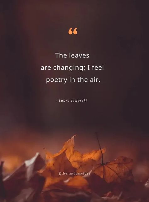 Autumn Love Quotes, Leaves Quotes, Fall Season Quotes, Hello Fall Quotes, Leaf Quotes, October Quotes, November Quotes, Ending Quotes, Season Quotes