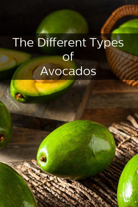 Hass avocados may be the most familiar and popular variety, but there are other kinds as well. Avocado Varieties, Avocado Types, Family Food Recipes, Avocado Brownies, Healthy Nutrition Plan, Food Variety, Food For Health, Live A Healthy Lifestyle, Astuces Diy