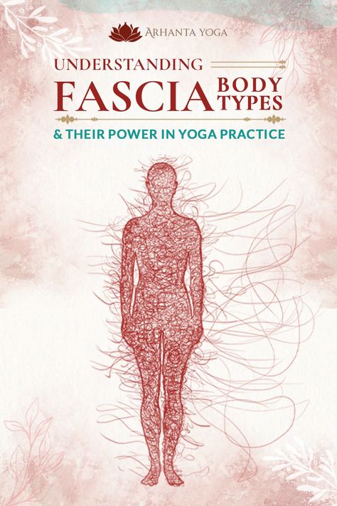 Fascia Matrix and Fascia Archetypes Fascia Exercises, Fascia Yoga, Yoga Knowledge, What Is Fascia, Sacral Chakra Yoga, Yoga Alignment, Fascia Release, Fascia Stretching, Fascia Massage