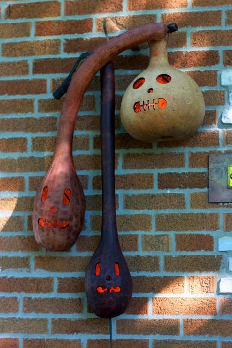 Gourd Projects, Wood Burned Gourds, Gooseneck Gourds, How To Dry Gourds, How To Carve Dried Gourds, Snake Gourds Crafts, Aunt Peaches, Fall Gourds, Calabash Gourd