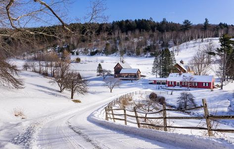 Dino Sokocevic on Instagram: “Won’t you be my neighbor? . . . . . . . #vermontshots #vtphoto #travelvermont #welovevermont #igvermont #naturalvermont #govermont…” Primrose School, Uk Farmhouse, Vermont Aesthetic, Winter Homestead, East Coast Winter, House Nostalgia, House Pond, Ethan Frome, New England Art