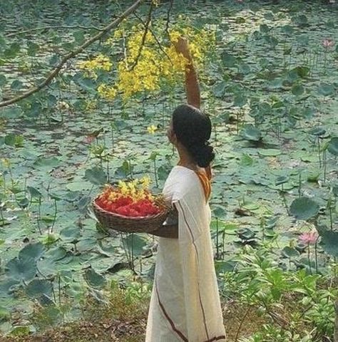 my work is loving the world — can we get some appreciation for our woc in... Aesthetic Kerala, Woman Picking Flowers, Bengali Aesthetic, Aesthetic Indian, Onam Festival, Picking Flowers, Desi Aesthetic, Green I, My Color