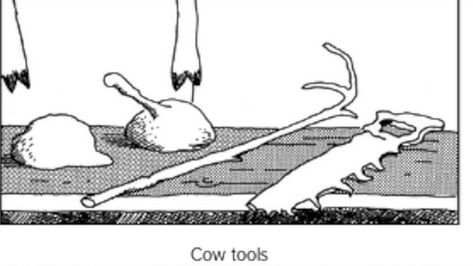 Gary Larson Had to Publish An Explanation for This ‘Far Side’ Comic That We Still Don’t Understand Cow Tools, Gary Larson Comics, Gary Larson Far Side, Far Side Comics, Gary Larson, Evolutionary Biology, History Videos, Dark Jokes, Far Side