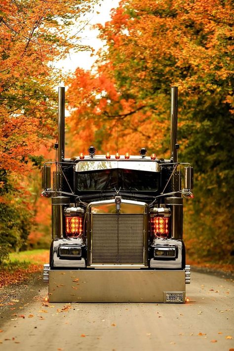 Semi Trucks Humor, Custom Peterbilt, Diesel Pickup Trucks, Trucks For Sell, Peterbilt Truck, Big Ford Trucks, Trucks Lifted Diesel, Peterbilt 389, Automobile Engineering