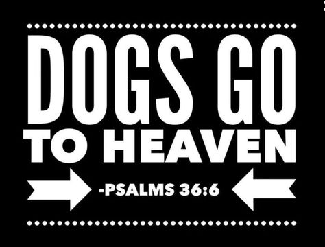 Dogs Go To Heaven, Pet Items, Dog Heaven, Animals Friendship, Labrador Puppy, Dog Obedience, Obedience Training, Dog Signs, Dog Memorial