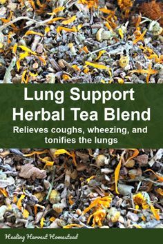 Here is an herbal tea blend recipe that will support your lungs and respiratory system naturally. You’ll find relief in your breathing, strengthen and tone your lungs with this herbal tea, and soothe cough. It’s an easy blend to make, and it works! #herbaltea #herbal #forlungs #tea #breathing #support #health #tohelpwith #healingharvesthomestead #getridof #homeremedy #remedy Lung Support, Tea Blends Recipes, Herbal Teas Recipes, Natural Healing Remedies, Herbal Tea Blends, Herb Tea, Natural Therapy, Respiratory System, Natural Diy