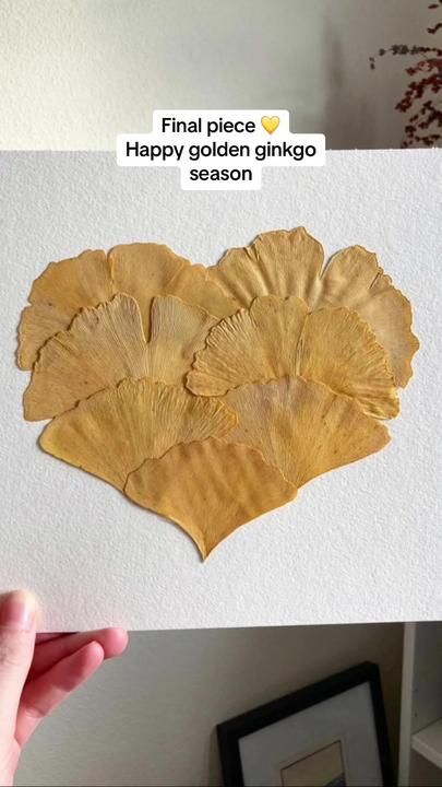 Pressed yellow ginkgo heart, pressed leaf craft ideas | Little Leaf Ink on TikTok Crafts With Ginko Leaves, Ginkgo Leaf Painting, Ginko Leaf Crafts, Gingko Leaves Art, Ginkgo Leaf Art, Ginko Art, Leaf Craft Ideas, Flower Tips, Leaf Craft