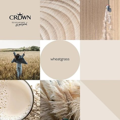 Wheatgrass Crown Paint, Crown Wheatgrass Paint, Colour Nursery Ideas, Crown Paint Colours Neutral, Warm Neutral Living Room Paint Colors, Neutral Wall Colors Bedroom, Beige Walls Bedroom Colour Palettes, Neutral Wall Color For Living Room, Crown Paint Colours