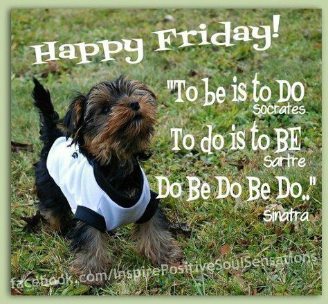 Friday Funny Friday Morning Quotes, Back To Work Humour, Happy Friday Humour, Made It To Friday, Friday Morning Quotes, Work Funny, Dog Comics, Afternoon Quotes, Good Morning Funny Pictures