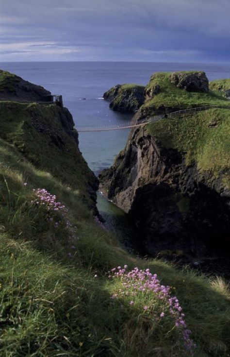 Carrick-a-Rede rope bridge, Co. Antrim North Ireland, Beautiful Ireland, Rope Bridge, Dark Hedges, Ireland Landscape, High Angle, Travel Images, Ireland Travel, Oh The Places Youll Go