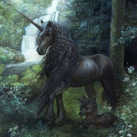 THE BLACK FOREST UNICORN BY ANNIE STEGG Annie Stegg, Unicorn Artwork, April Art, Unicorn And Fairies, Magical Horses, Unicorn Pictures, Black Unicorn, Fantasy Horses, Unicorn Horse