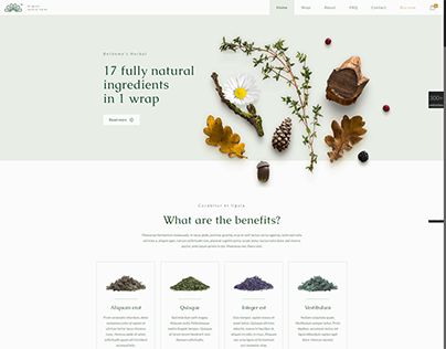 Check out new work on my @Behance portfolio: "HERBAL - WordPress Website Template Design" http://be.net/gallery/61222217/HERBAL-WordPress-Website-Template-Design Aaron Davis, Wordpress Website Template, Adobe Bridge, Tea Website, Dm Design, Portfolio Website Design, Blog Layout, Website Template Design, Ecommerce Website Design