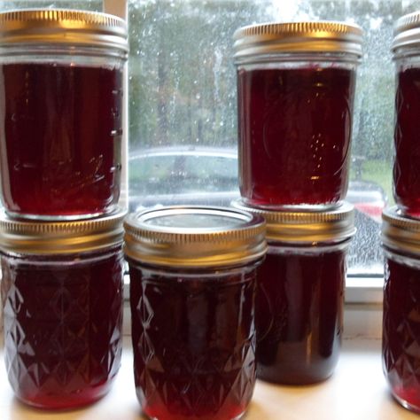 I love living in the country! We have wild muscadine grapes growing in the trees at my house. If only I could reach the very tip top but I got a lot for some homemade jelly! It was fun from start to finish! Muscadine Jelly Recipe, Muscadine Recipe, Planting Grapes, Muscadine Jelly, Kfc Biscuits, Muscadine Grapes, Jelly Making, Grapes Growing, Jam Canning