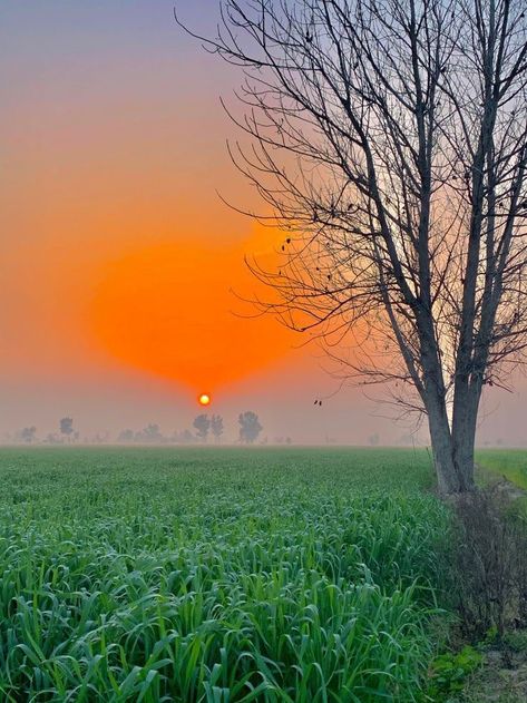 Nature Baground Images, My First Vlog, Patiala Dress, Moonlight Photography, Photoshop Backgrounds Backdrops, Party Logo, Nature Background Images, Beach Background Images, Blur Background