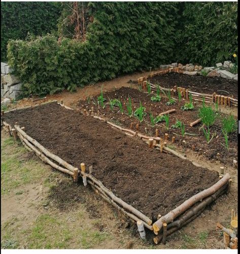 Garden Plants Ideas, Future Garden, Plants Ideas, Potager Garden, Garden Area, Veg Garden, Home Vegetable Garden, Farm Stand, Vegetable Garden Design