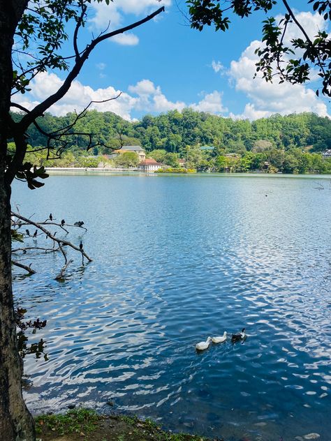 Kandy Lake round Kandy, Lake, Quick Saves, Nature