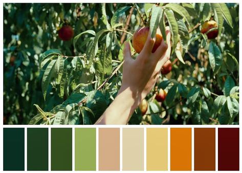 Call Me by Your Name" (2017) Directed b Seeds Color Palette, Color In Film, Movie Color Palette, Luca Guadagnino, Colours That Go Together, Seeds Color, Instagram Call, Cinema Colours, Color Palette Challenge