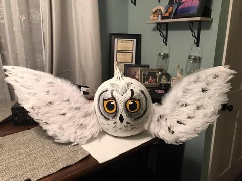 Animal Pumkin Decoration Ideas, No Carve Owl Pumpkin, Hedwig Painted Pumpkin, Harry Potter Owl Pumpkin, Owl Painted Pumpkins Ideas, Award Winning Decorated Pumpkins, Hedwig Pumpkin Painting, Harry Potter Pumpkin Decorating Ideas, Owl Pumpkin Painting