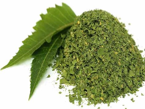 Neem powder and neem leaves on a white background Neem Leaf, Neem Powder, Multani Mitti, Lemon Health Benefits, Lemon Benefits, Neem Oil, Skin Diseases, Digestion Problems, How To Treat Acne