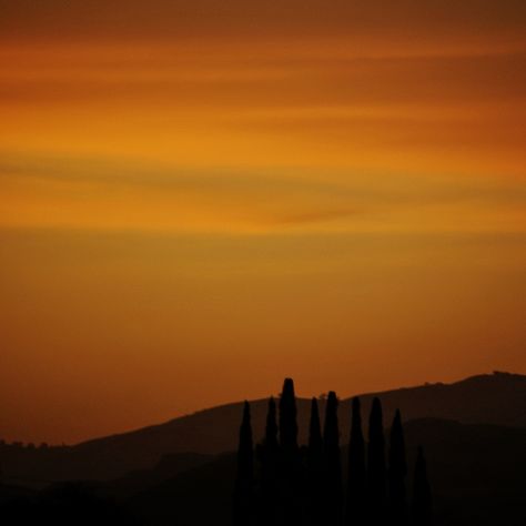 Silhouette Against an Amber Sky ~ Photography by Color Escape, via Flickr Sunset In City, Amber Aesthetic, Brown Sunset, Amber Sky, Earthy Fragrance, Sky Photos, Ancient Tree, Stage Lighting, Beautiful Sky