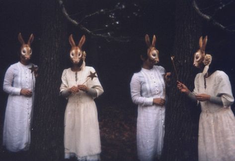 Bunny Book, Four Women, Bunny Mask, Animal Masks, Animal Heads, Bunny Ears, Bunny Girl, Pulp Fiction, Book Aesthetic