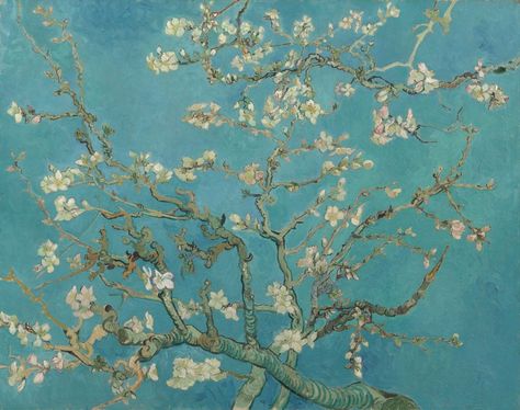 Almond Blossom - Vincent van Gogh - Van Gogh Museum فنسنت فان جوخ, Almond Blossoms, Van Gogh Almond Blossom, Almond Tree, Vincent Van Gogh Paintings, Arte Van Gogh, Van Gogh Museum, Almond Blossom, Van Gogh Paintings