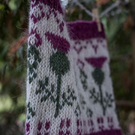 Cozy up with this beautiful thistle-inspired colorwork cowl knitting pattern, perfect for adding a touch of Scotland to your winter wardrobe. #KnittingPattern #ColorworkCowl #ThistleDesign #ScottishKnits #HandmadeAccessories #WinterKnits Thistle Knitting Pattern, Knitting Colourwork, Colorwork Cowl, Scottish Knitting, Thistle Design, Cowl Knitting, Colorwork Knitting, Cowl Knitting Pattern, Craft Knitting