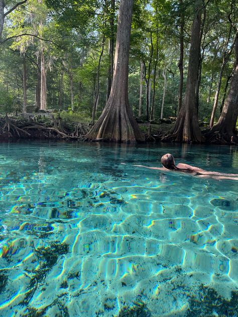 Ginnie Springs Florida, Ginnie Springs, Cute Beach Pictures, Florida Springs, Springs Florida, Water Nymphs, Spring Photos, Spring Trip, Spring Nature