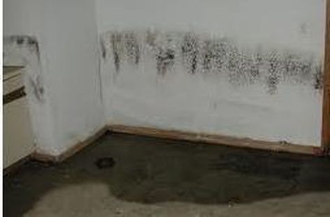 Sealing Basement Walls, Waterproofing Basement Foundation, Waterproofing Basement Walls, Leaky Basement, Concrete Basement Walls, Basement Repair, Leaking Basement, Old Basement, Wet Basement