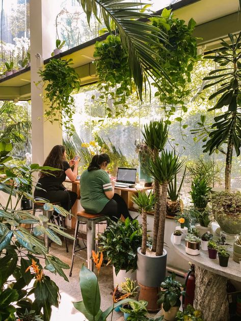 Cafe In Greenhouse, Plant Cafe Design, Plant Cafe Interiors Coffee Shop, Instagram Worthy Cafe, Plant Cafe Interior, Plant And Coffee Shop, Cafe Plants Interiors, Greenhouse Coffee Shop, Indoor Garden Cafe