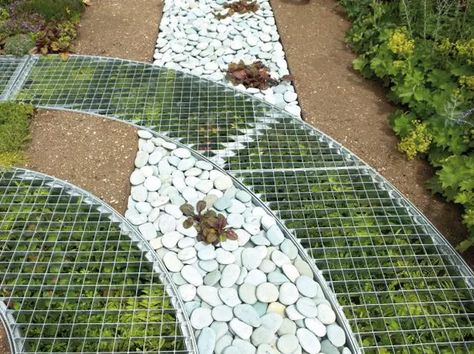 Walkway Pattern, Front Garden Ideas Driveway, Garden Ideas Driveway, Permeable Driveway, Environmental Crisis, Guerrilla Gardening, Driveway Ideas, Front Gardens, Telling The Truth