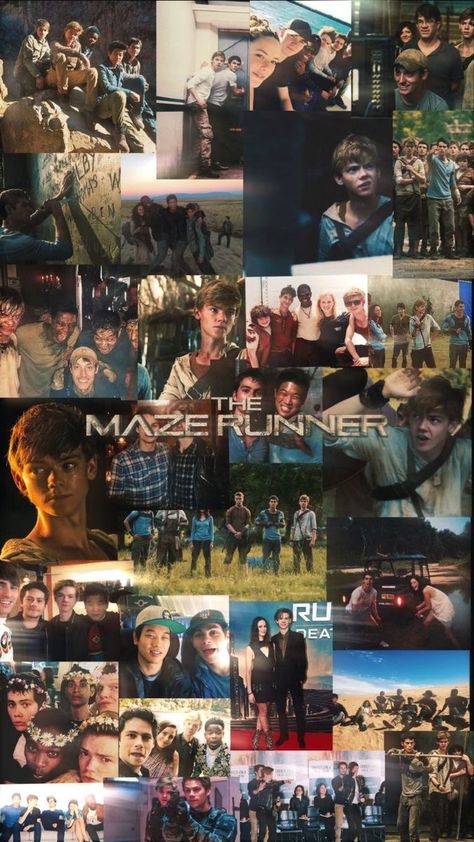 Maze Runner Wallpaper, Runner Wallpaper, Maze Runner 1, Maze Runner Characters, Maze Runer, Maze Runner Thomas, Maze Runner The Scorch, Maze Runner Trilogy, Maze Runner Funny