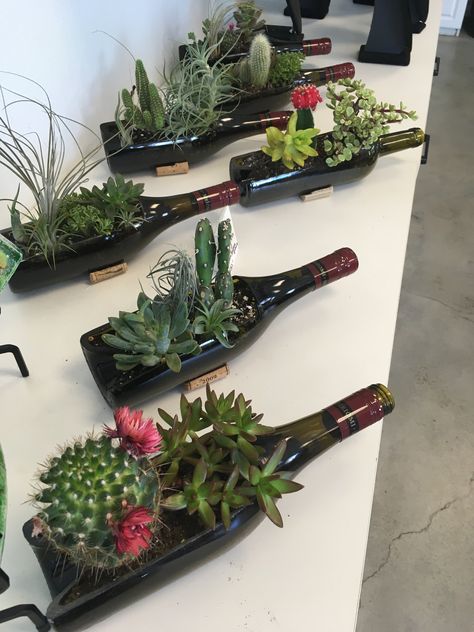 Liquor Bottle Crafts, Plant Containers, Plants In Bottles, Bottle Centerpieces, Art Coquillage, Green Diy, Glass Bottle Diy, Succulent Garden Diy, Recycled Glass Bottles